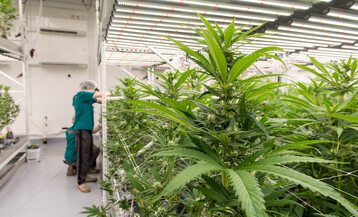 BSP HR ACK Natural 4 23 21 3854