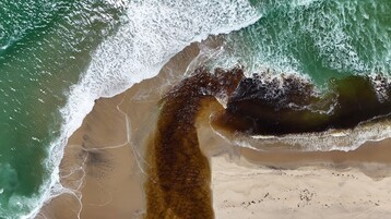 DJI 20260410125445 0038 D