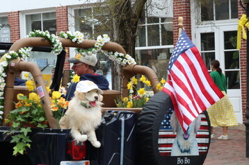 IMG 8786 2 e3a40f7172c3e2402cbe8afa5c931de5