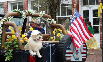 IMG 8786 2 e3a40f7172c3e2402cbe8afa5c931de5