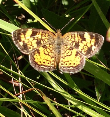 2 Pearl Crescent