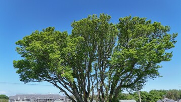 DJI 20260528103052 0127 D