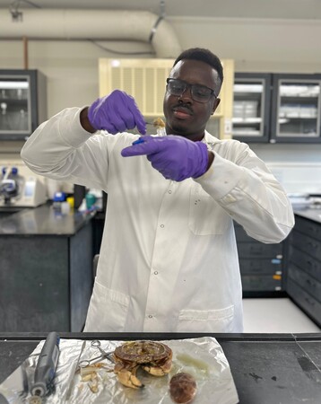 Lab Work4