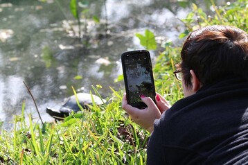 Using i Naturalist