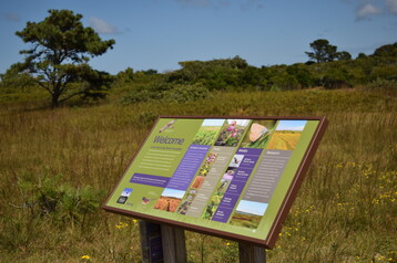 Interpretive sign at LLNF