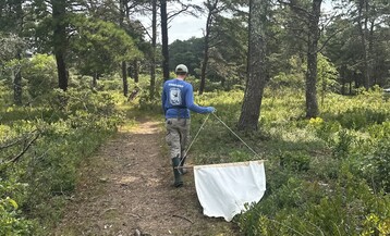 Tick surveys are conducted to assess densities and types present on trails across NCF properties