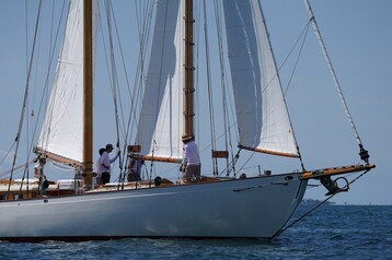 KN 00835
