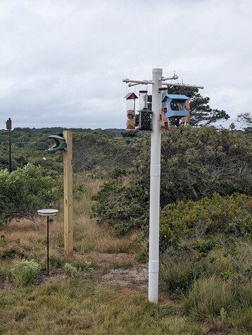 4 Newbirdfeeders