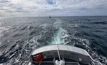 IMG 4662 Large