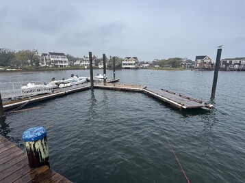 IMG 6308